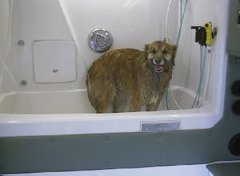 Vantub.jpg (84164 bytes)