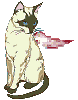 27acat64.gif (4427 bytes)