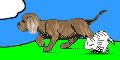 Puppy_and_kitten.gif (19271 bytes)