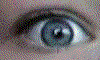 Eyes.gif (12362 bytes)