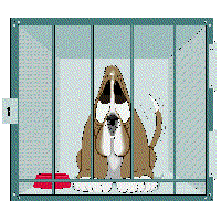 dogcage.gif (14840 bytes)