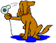 doggie_dryer.gif (37936 bytes)