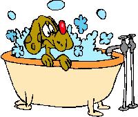 dogwash.jpg (77037 bytes)