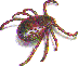 tick.gif (2415 bytes)